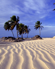 Sfondi Bahia Beach Resorts Puerto Rico 176x220