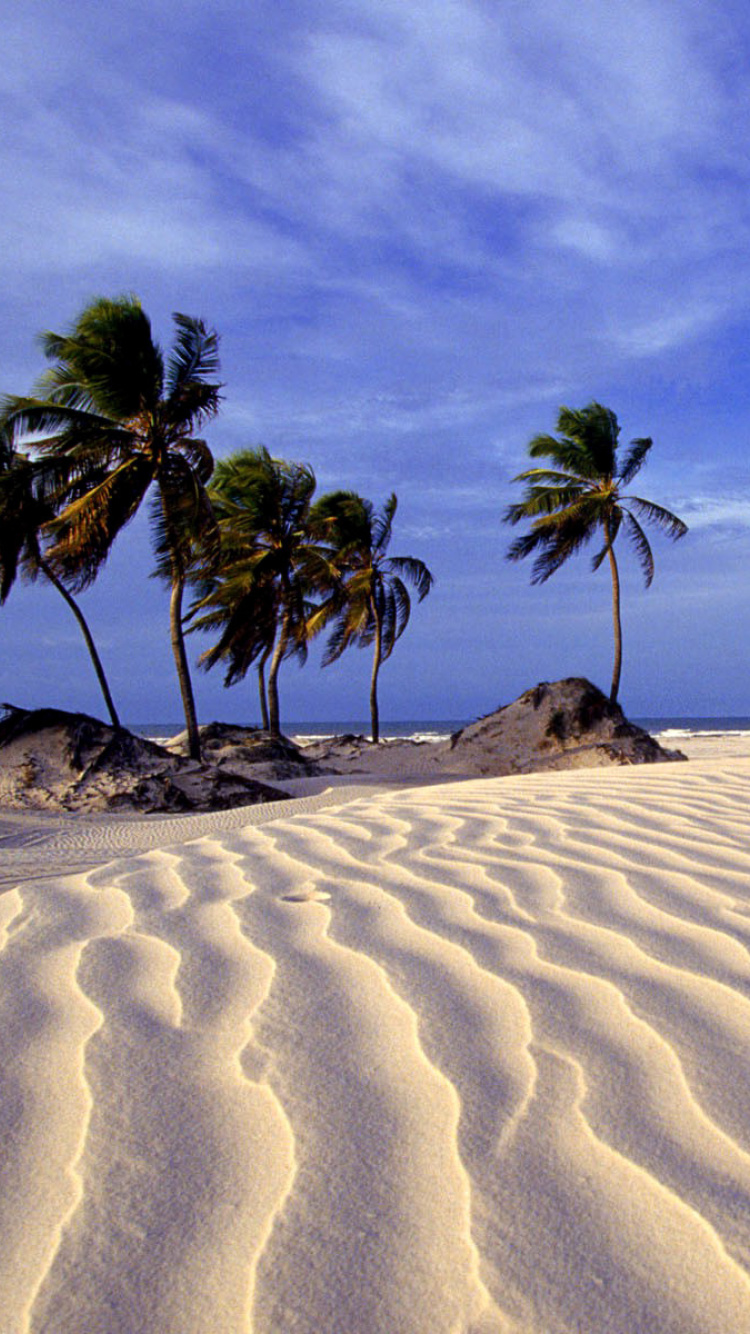 Обои Bahia Beach Resorts Puerto Rico 750x1334