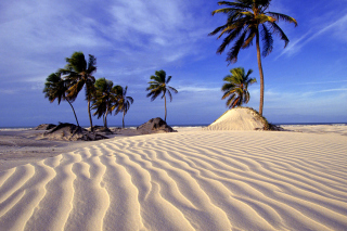 Bahia Beach Resorts Puerto Rico Picture for Nokia XL