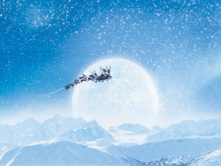 Обои Santa's Sleigh And Reindeers 320x240