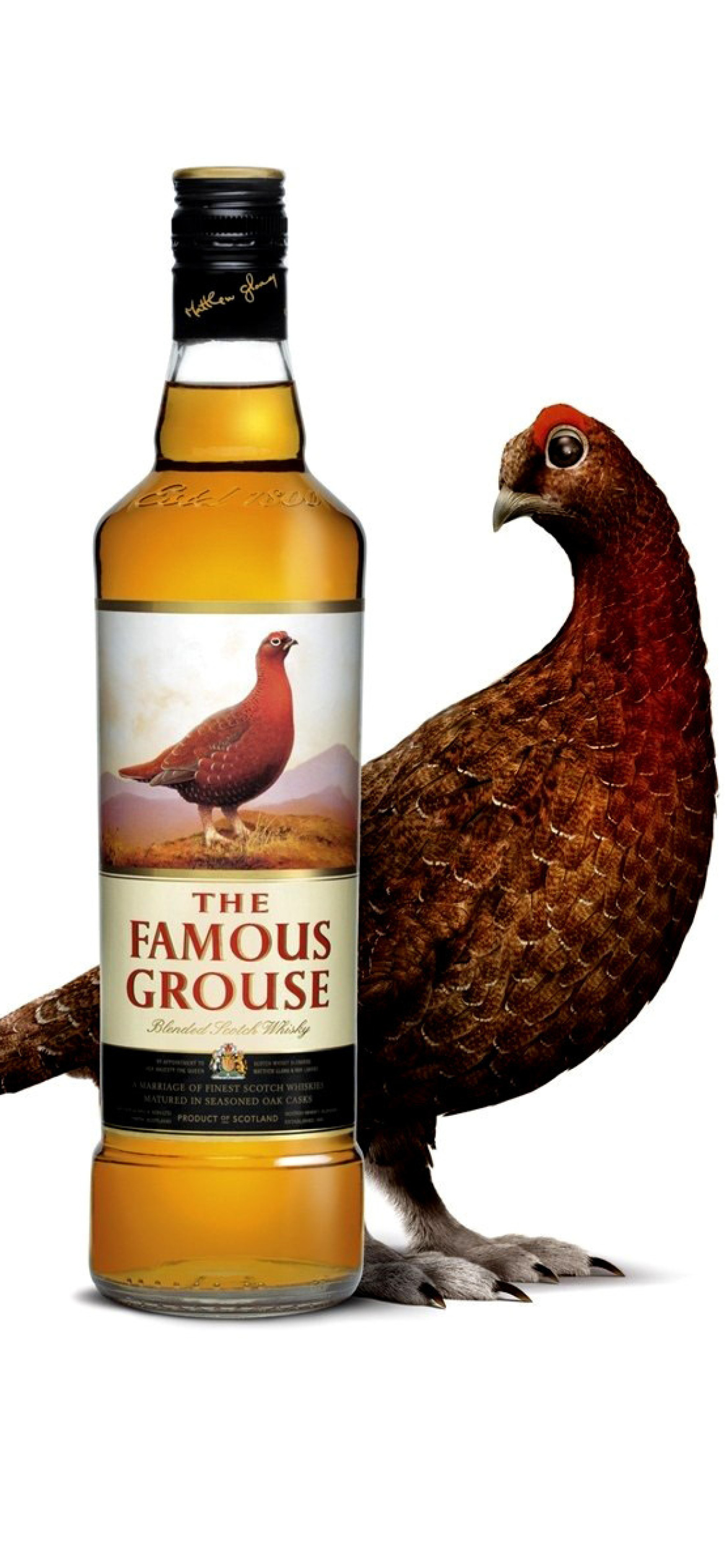 The Famous Grouse Scotch Whisky wallpaper 1170x2532