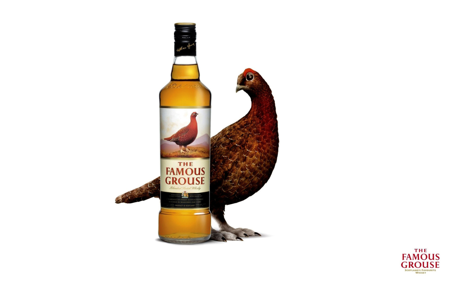 Das The Famous Grouse Scotch Whisky Wallpaper 1440x900