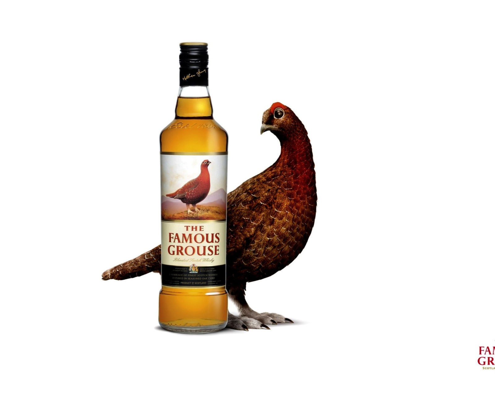 Das The Famous Grouse Scotch Whisky Wallpaper 1600x1280