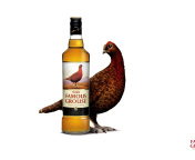 Screenshot №1 pro téma The Famous Grouse Scotch Whisky 176x144