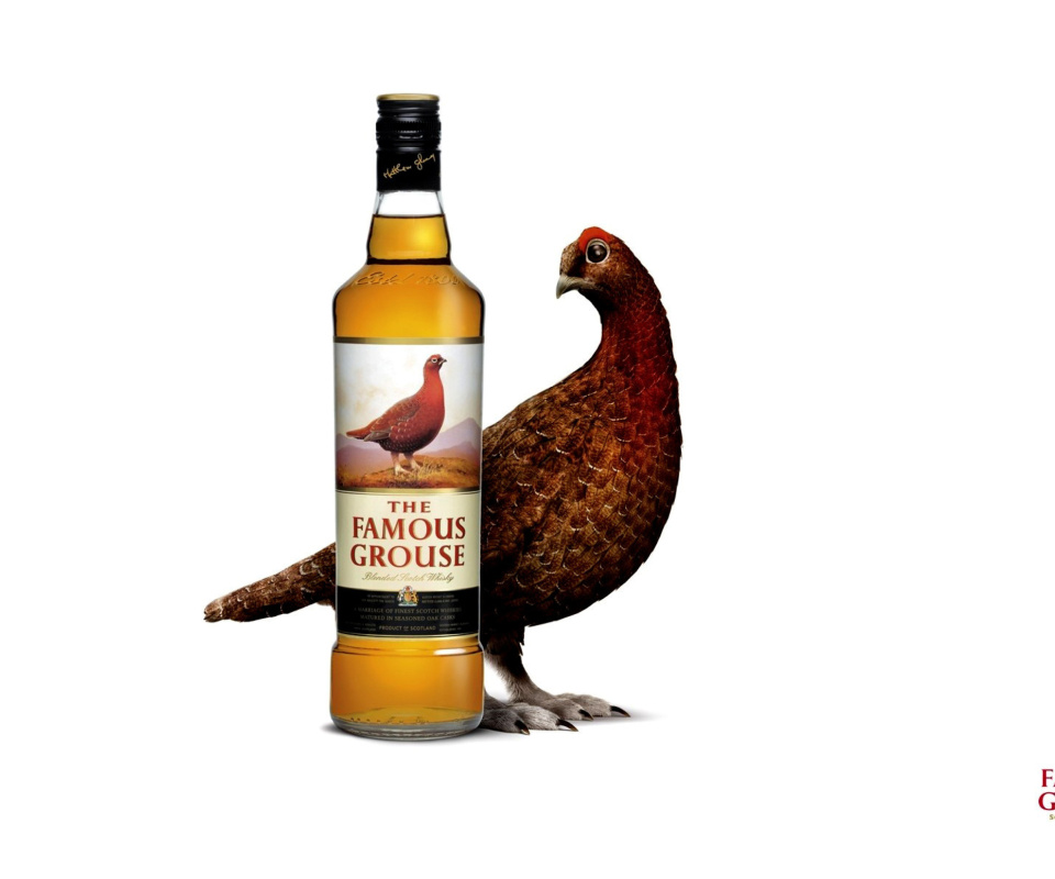 Das The Famous Grouse Scotch Whisky Wallpaper 960x800