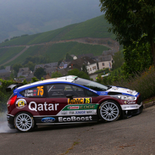 Ford Fiesta R5 WRC - Obrázkek zdarma pro 208x208