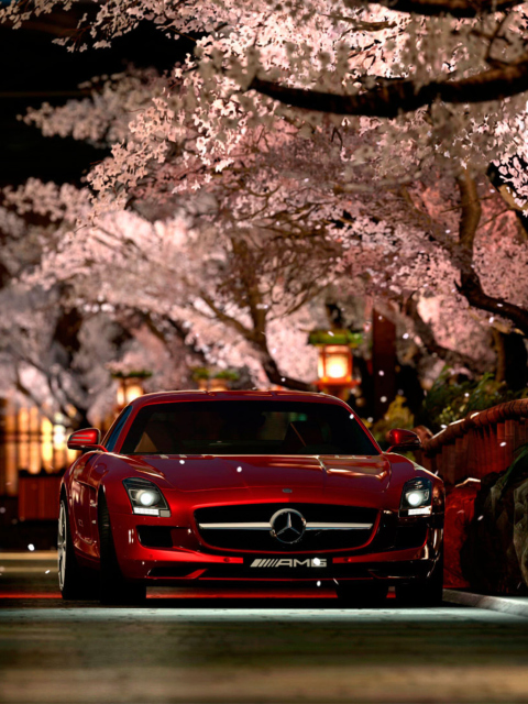 Gran Turismo 5 screenshot #1 480x640