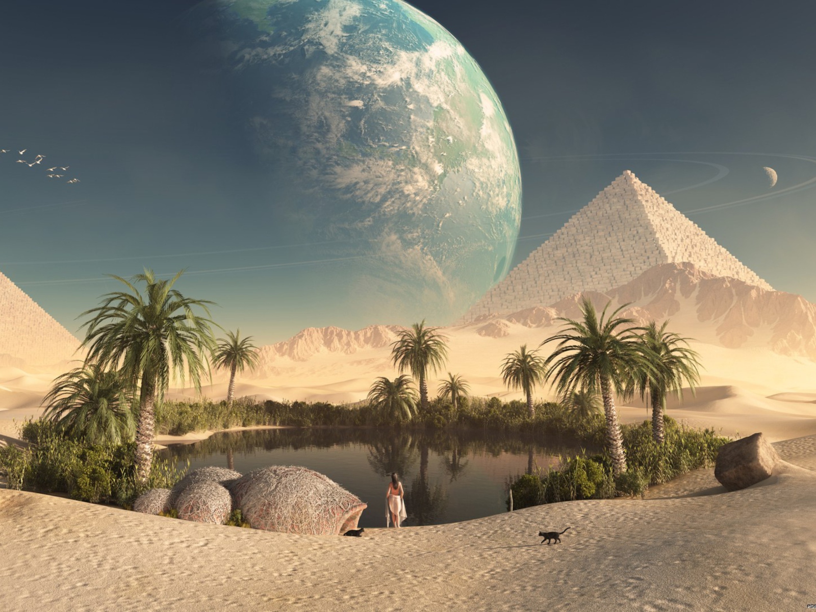 Paradise Oasis screenshot #1 1600x1200
