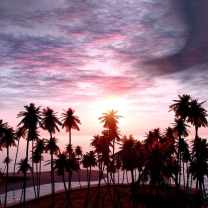 Fondo de pantalla Pink Sunset 208x208