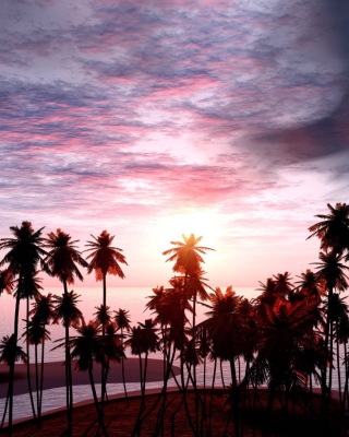 Pink Sunset - Fondos de pantalla gratis para Nokia Asha 311