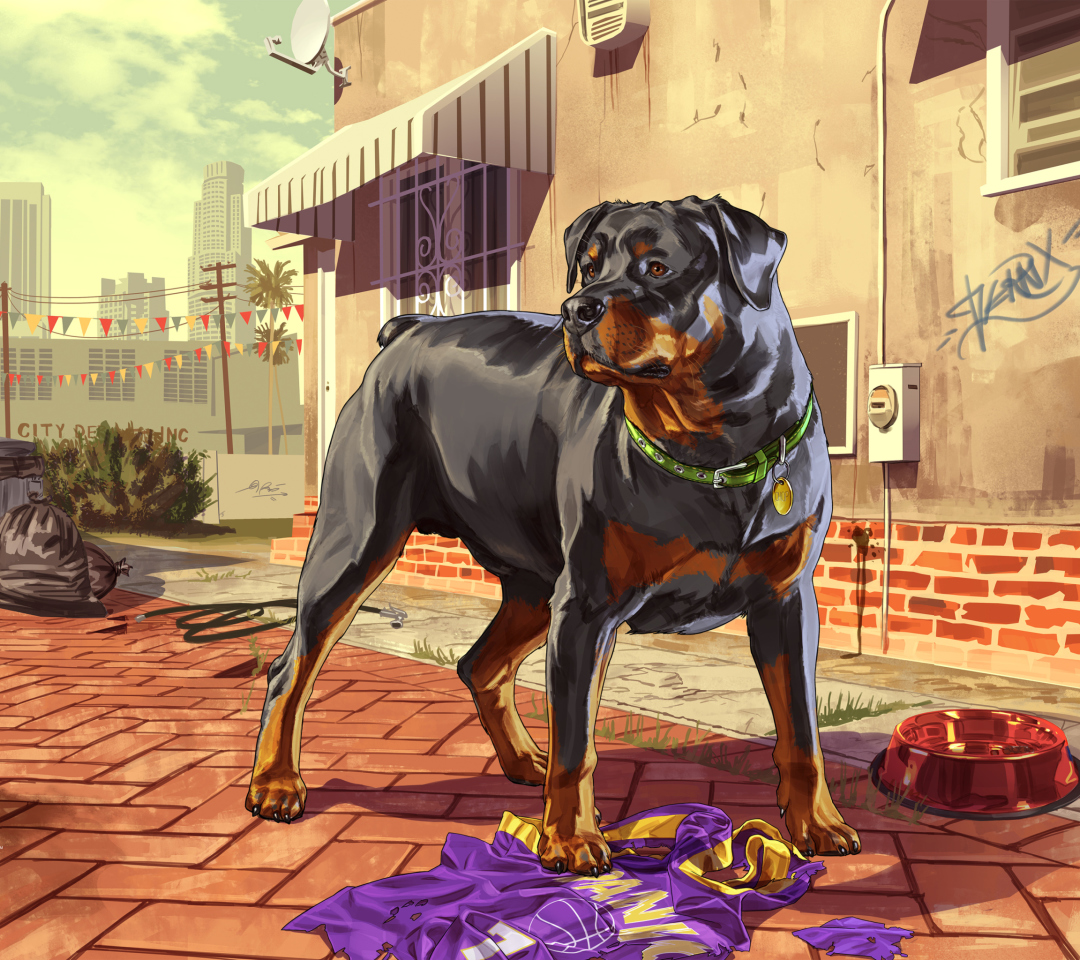 Das Grand Theft Auto V Dog Wallpaper 1080x960
