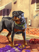 Screenshot №1 pro téma Grand Theft Auto V Dog 132x176