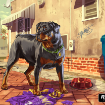 Sfondi Grand Theft Auto V Dog 208x208