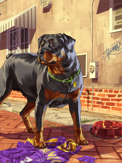 Sfondi Grand Theft Auto V Dog 240x320