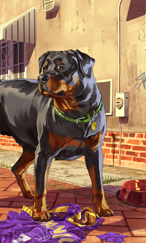 Sfondi Grand Theft Auto V Dog 480x800