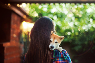 Dog Hug Wallpaper for Android, iPhone and iPad