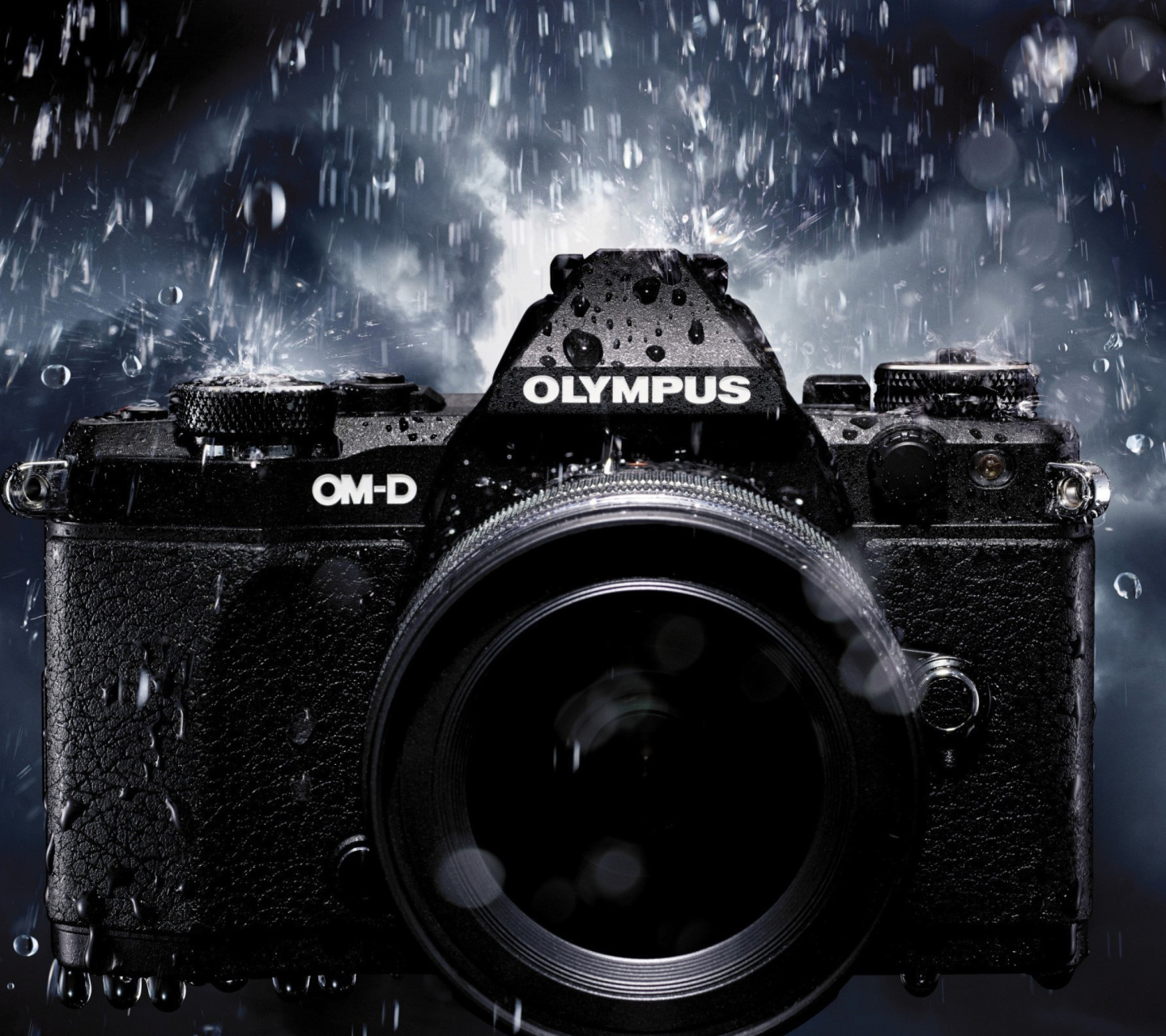 Обои Olympus Om D 1440x1280