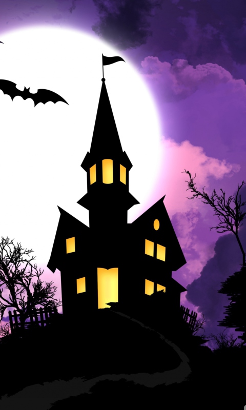 Das Spooky Halloween Wallpaper 480x800