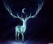 Sfondi Magic Deer Painting 176x144