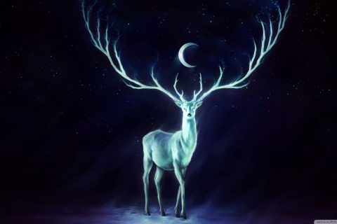 Das Magic Deer Painting Wallpaper 480x320