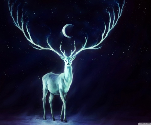 Screenshot №1 pro téma Magic Deer Painting 480x400