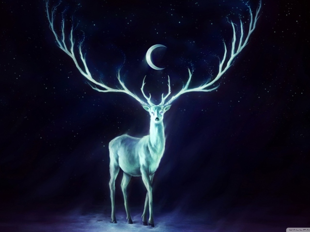 Das Magic Deer Painting Wallpaper 640x480