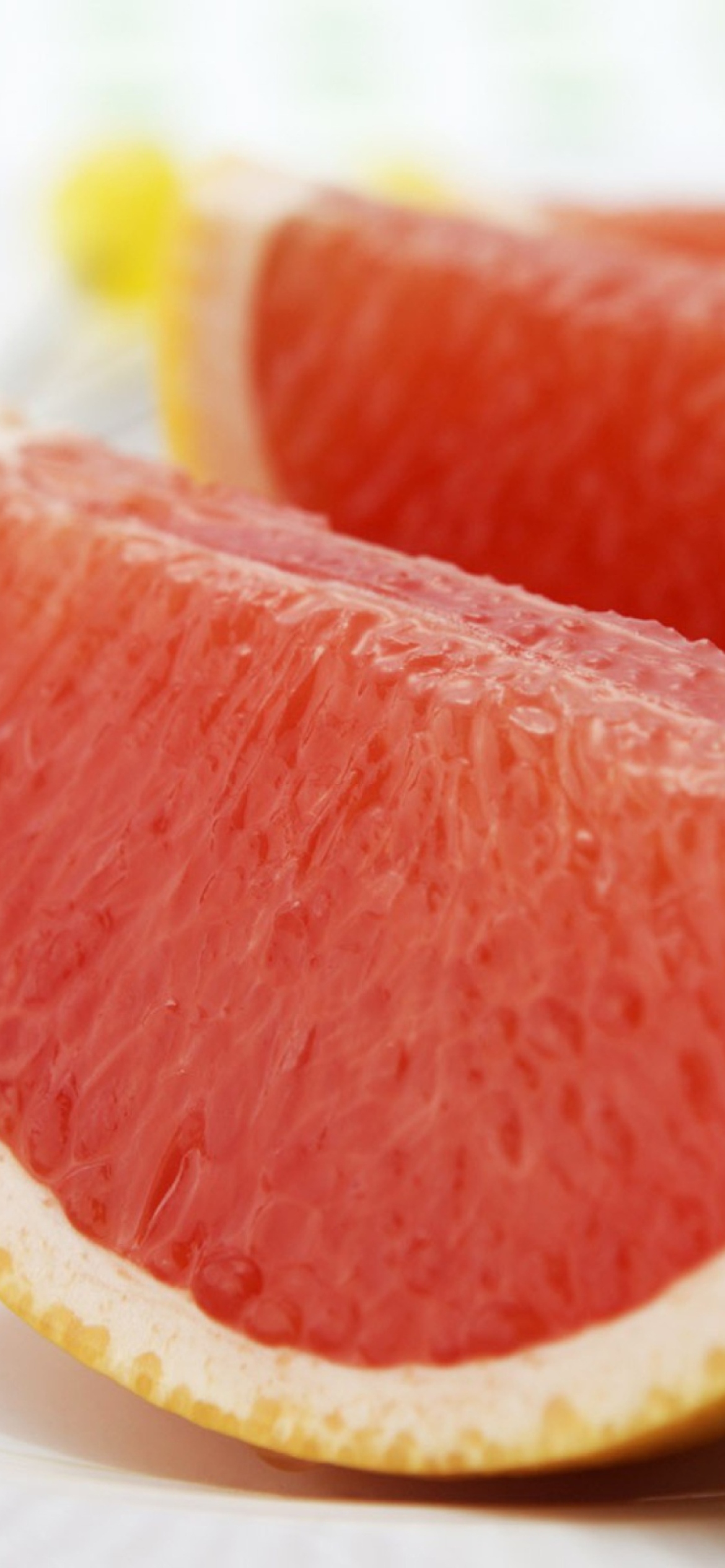 Grapefruit Slices screenshot #1 1170x2532