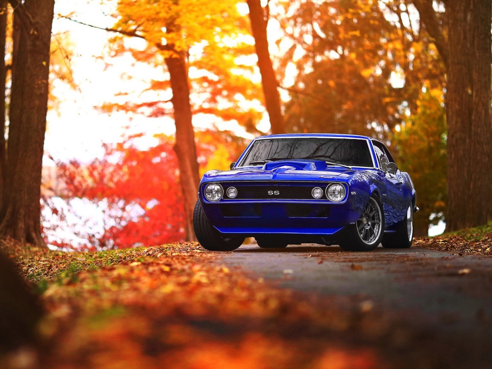 Fondo de pantalla Chevrolet Camaro SS Blue 1600x1200