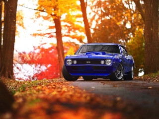 Das Chevrolet Camaro SS Blue Wallpaper 320x240