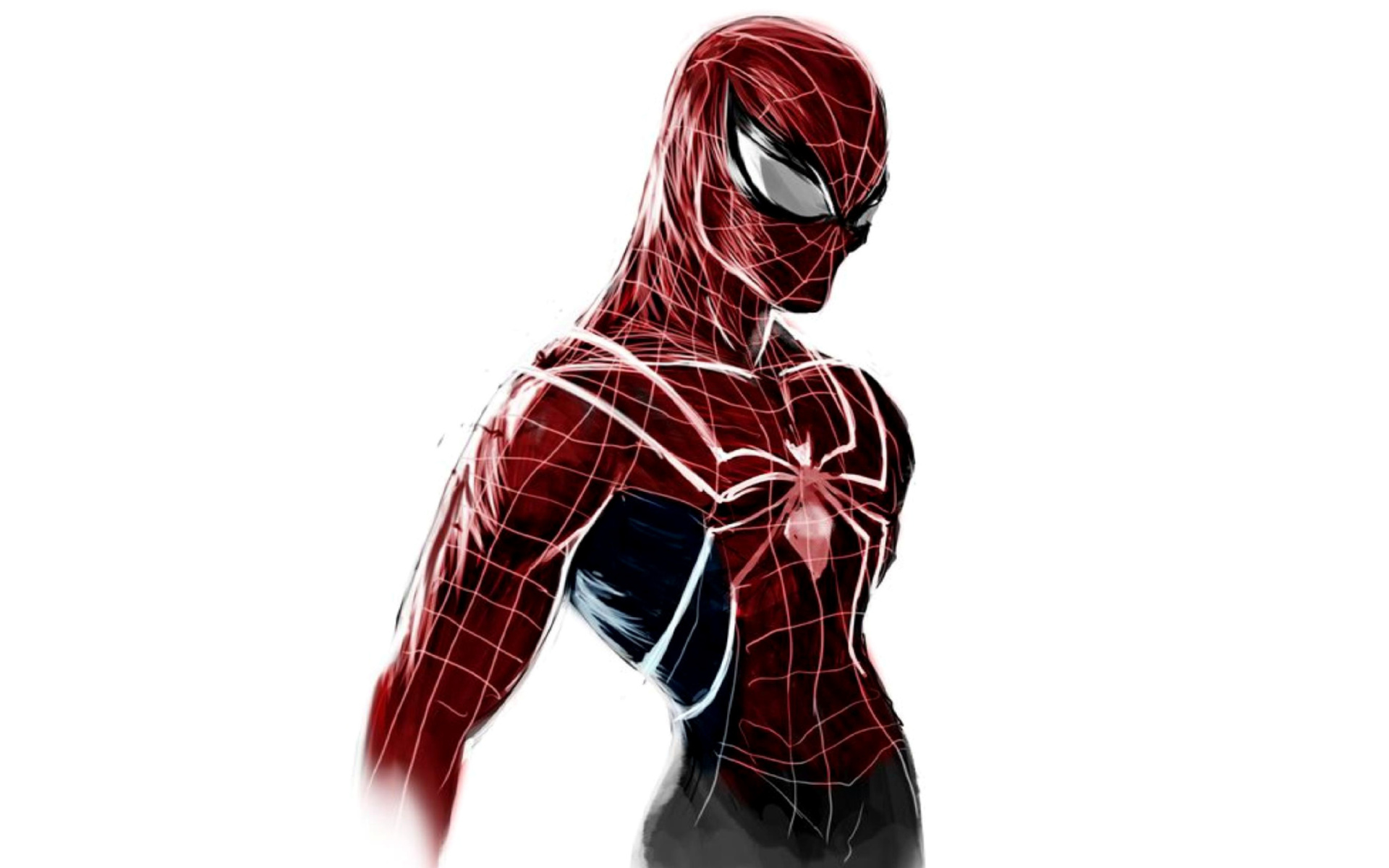 Das Spiderman Poster Wallpaper 1920x1200