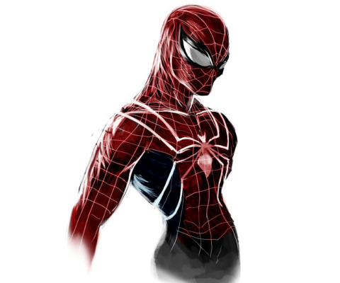 Fondo de pantalla Spiderman Poster 480x400