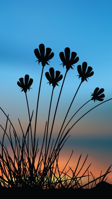 Sfondi Flowers Silhouette 360x640