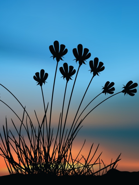 Обои Flowers Silhouette 480x640