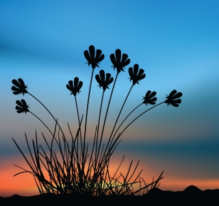 Flowers Silhouette - Obrázkek zdarma pro 208x208
