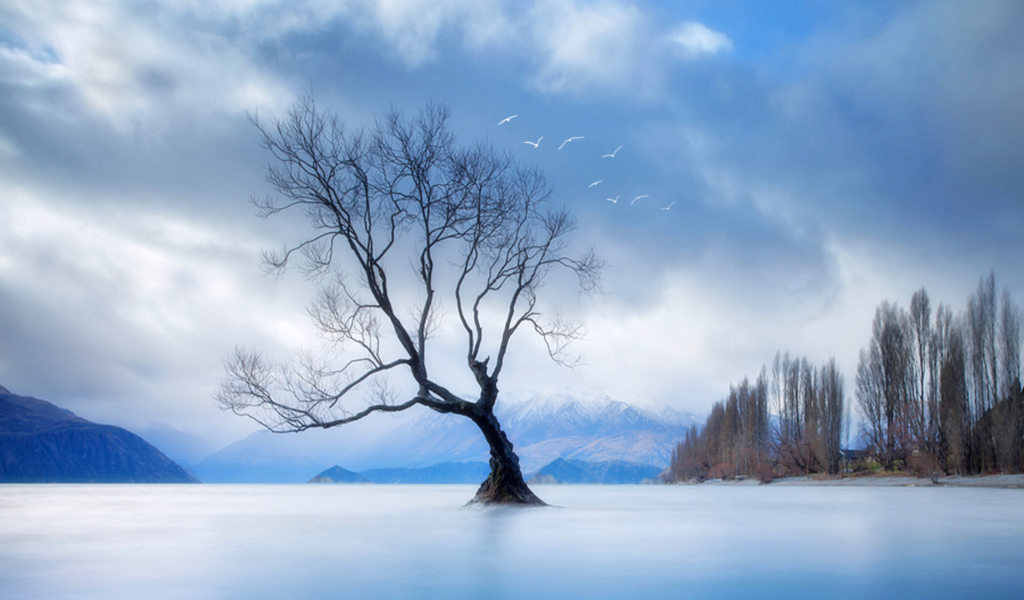 Screenshot №1 pro téma Lonely Tree At Blue Landscape 1024x600