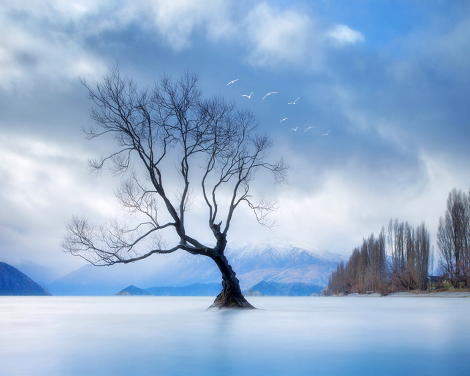 Sfondi Lonely Tree At Blue Landscape 1600x1280