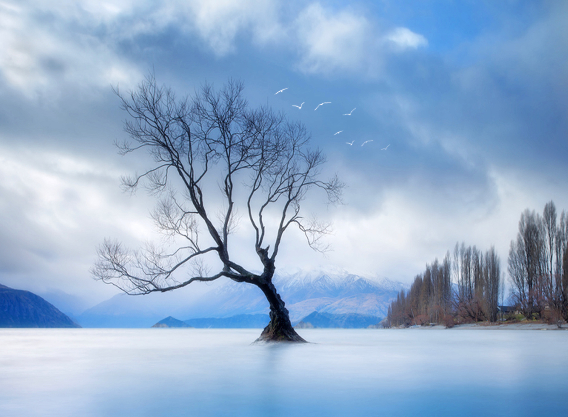 Screenshot №1 pro téma Lonely Tree At Blue Landscape 1920x1408