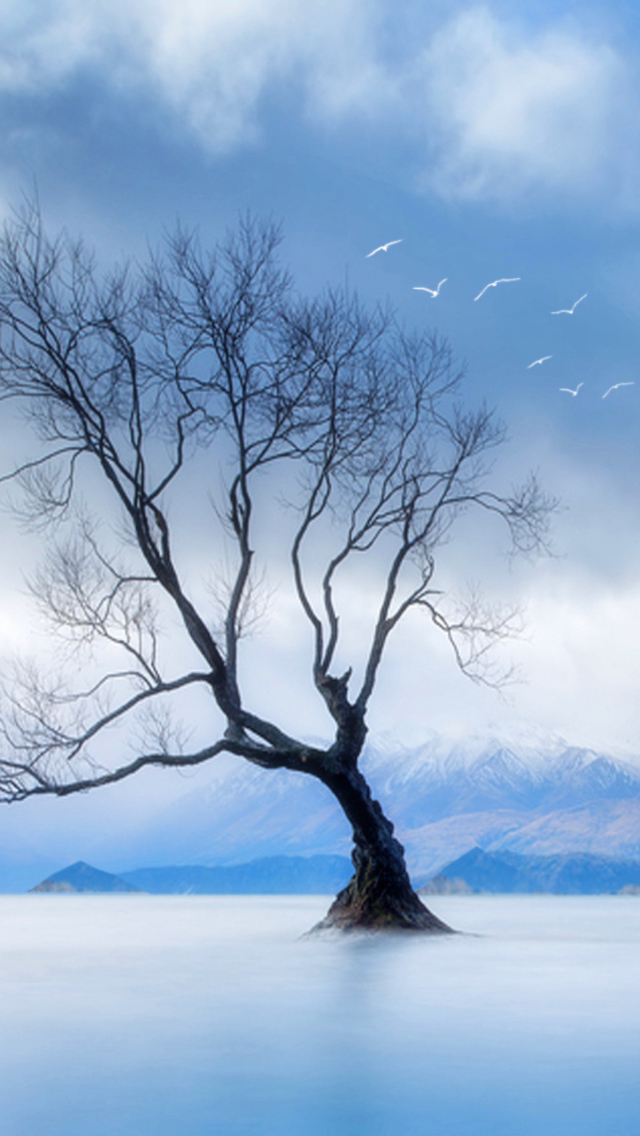 Lonely Tree At Blue Landscape wallpaper 640x1136