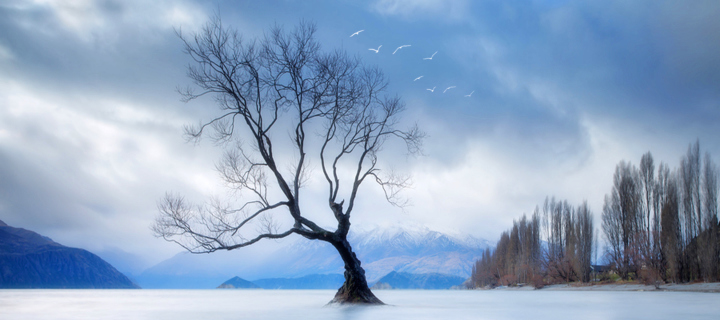 Lonely Tree At Blue Landscape screenshot #1 720x320