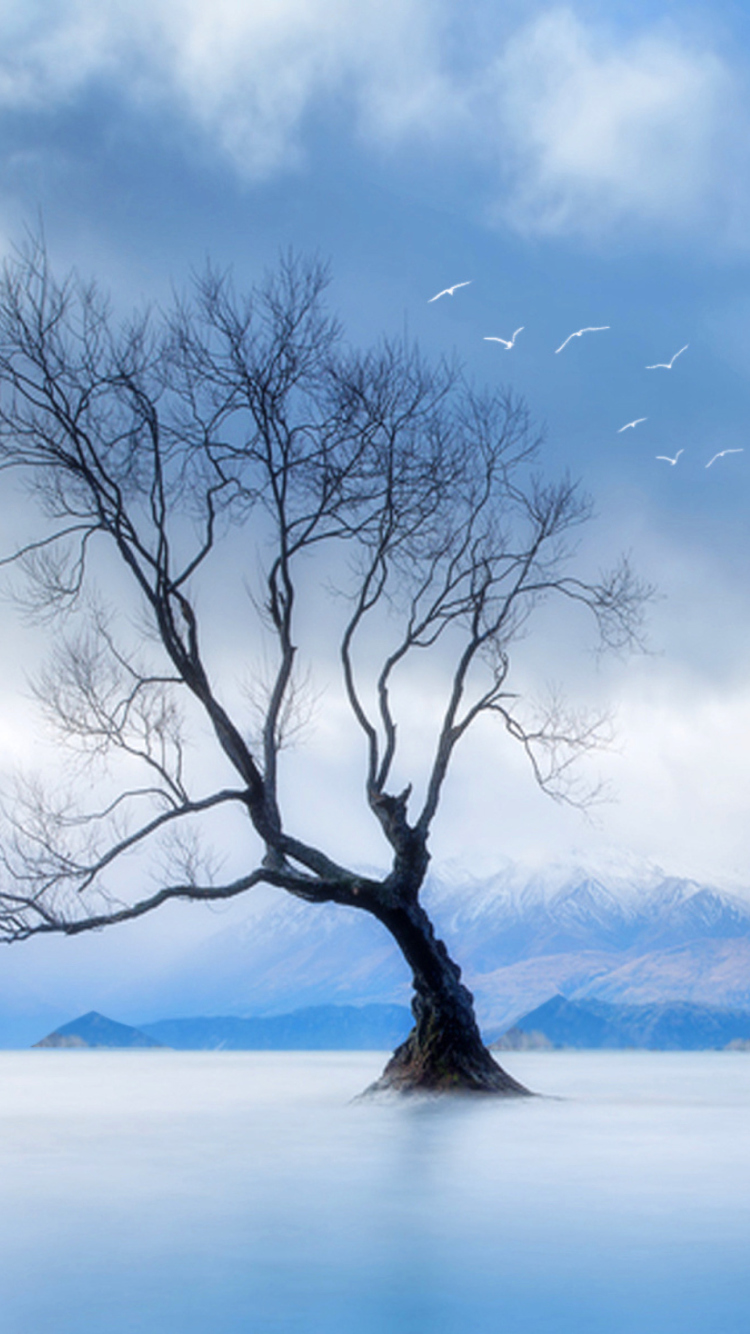 Обои Lonely Tree At Blue Landscape 750x1334
