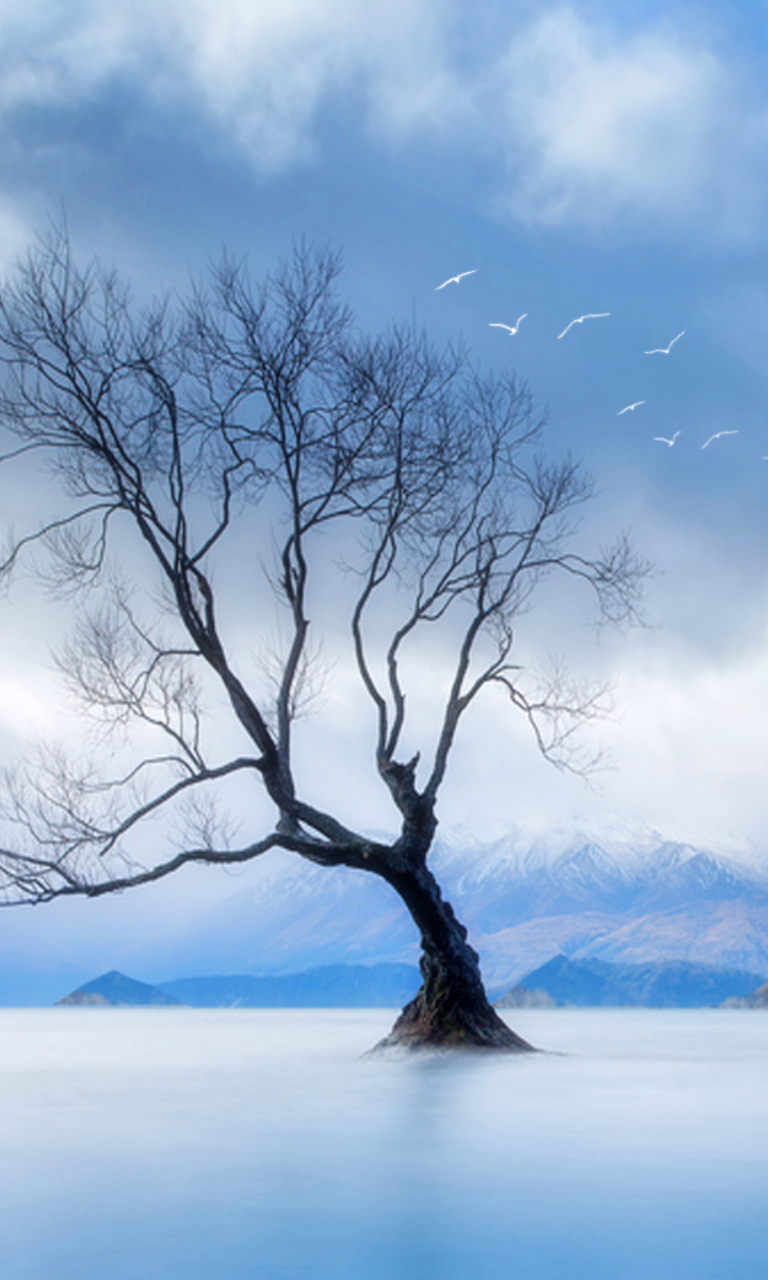 Обои Lonely Tree At Blue Landscape 768x1280