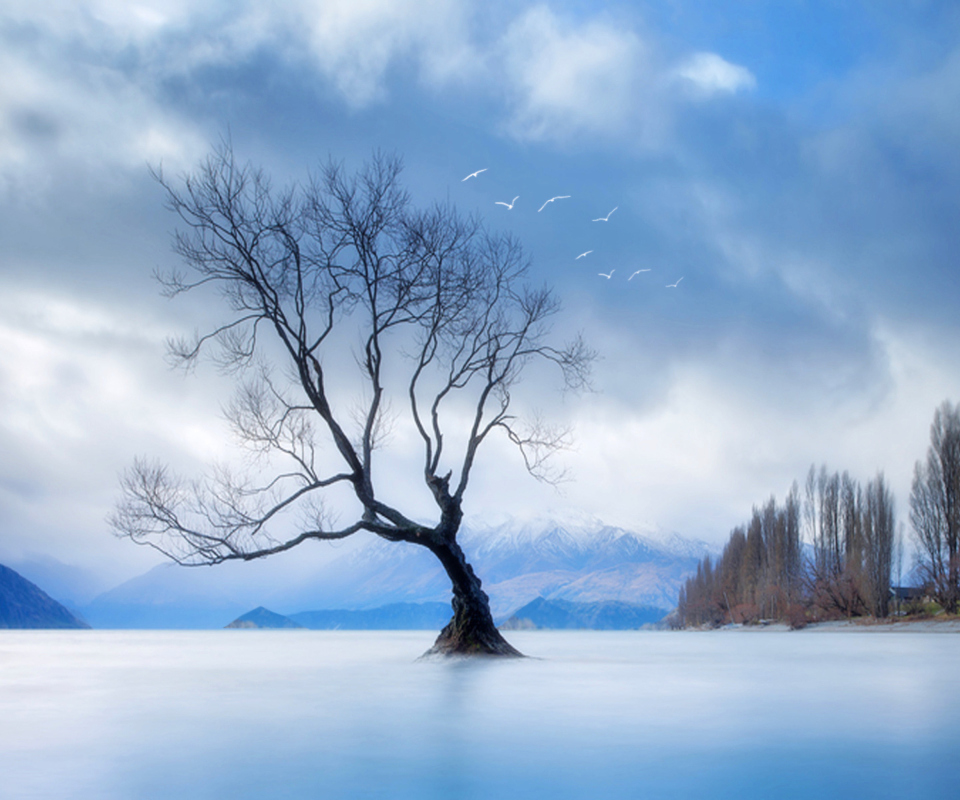 Das Lonely Tree At Blue Landscape Wallpaper 960x800