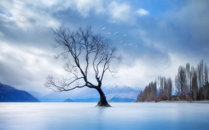 Das Lonely Tree At Blue Landscape Wallpaper