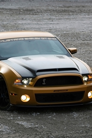 Ford Mustang Shelby GT640 wallpaper 320x480
