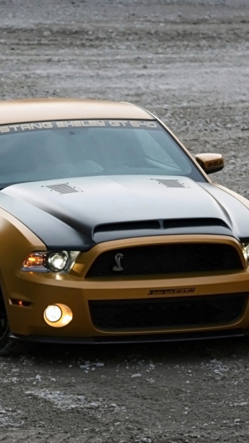 Das Ford Mustang Shelby GT640 Wallpaper 360x640
