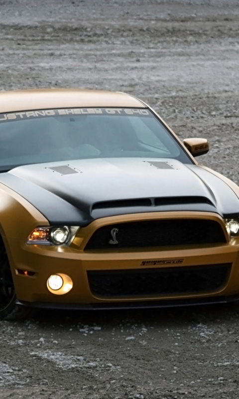 Das Ford Mustang Shelby GT640 Wallpaper 480x800