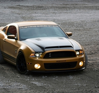 Ford Mustang Shelby GT640 Picture for iPad mini