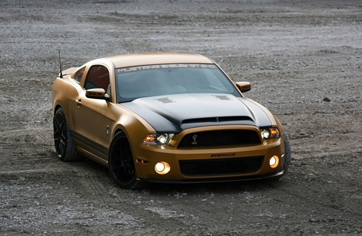 Обои Ford Mustang Shelby GT640
