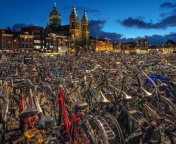 Обои Amsterdam Bike Parking 176x144