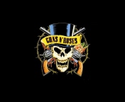 Guns'n'roses Logo screenshot #1 176x144